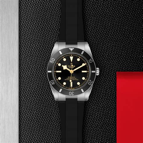 tudor black bay watch case.